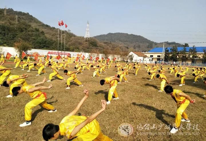 聰明的家長都愛送孩子學(xué)習(xí)武術(shù)，因為.....