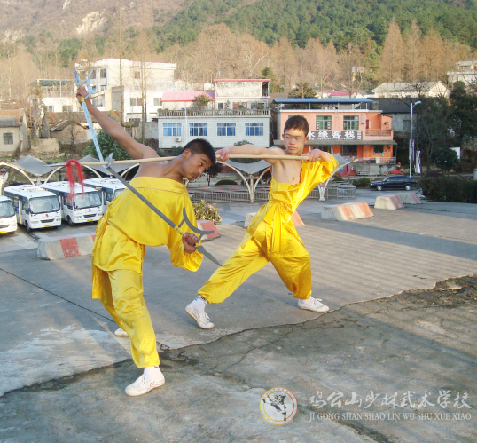 武術(shù)器械——冷兵器介紹:八卦鉤鐮劍