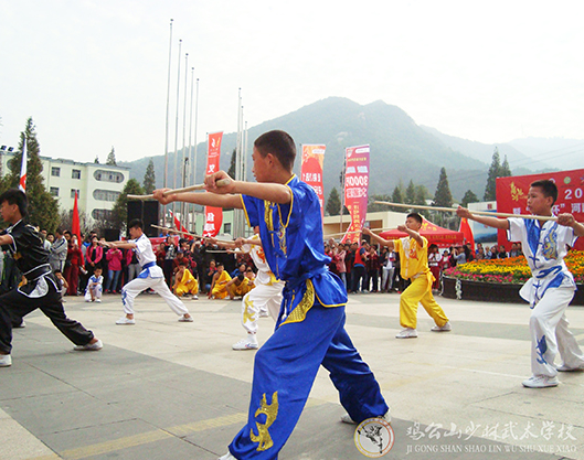 武術(shù)電影明星 曾經(jīng)的全國武術(shù)冠軍